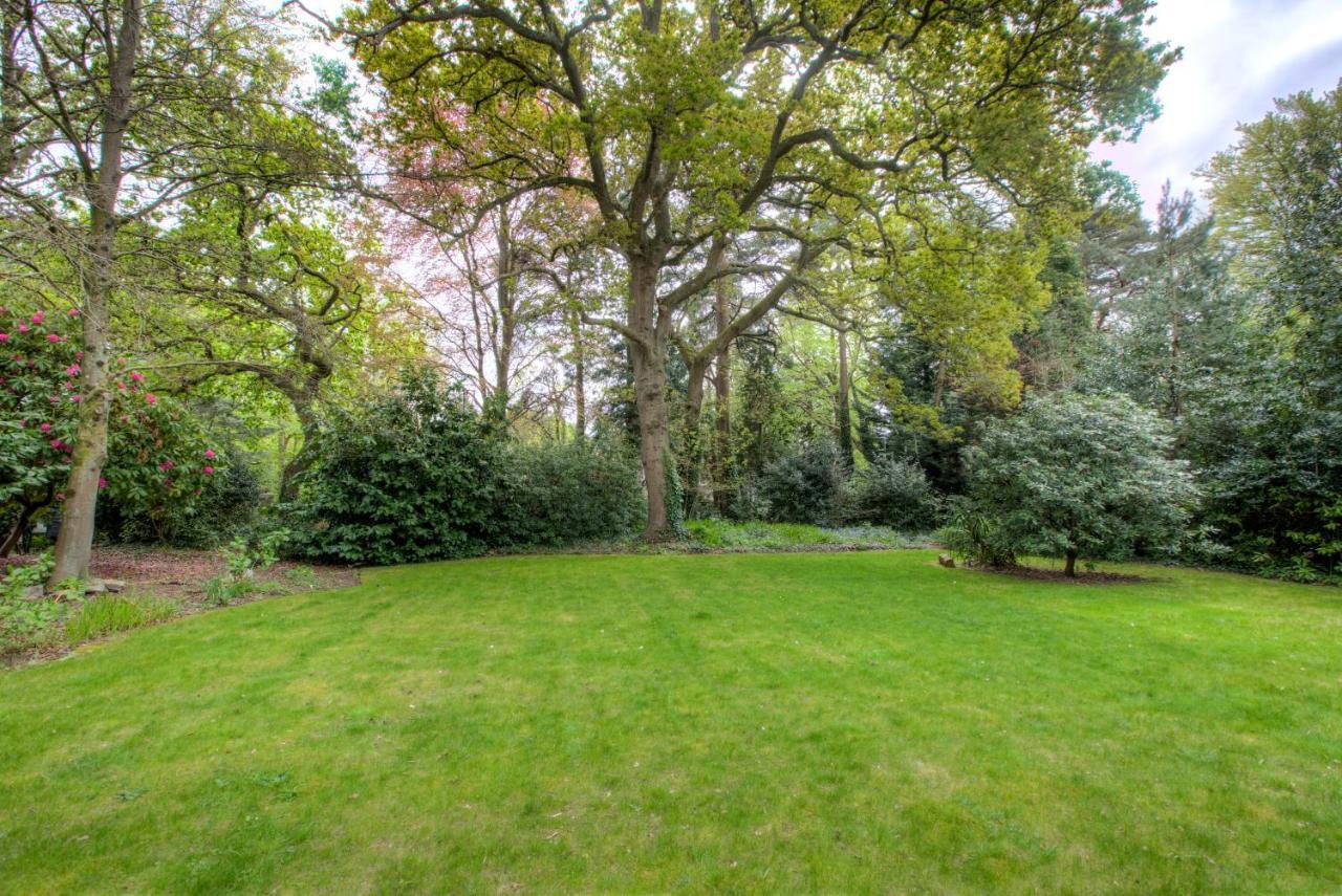 Luxury 3 Bedroom Apartment Close To Beach, Bournemouth & Meyrick Park Exteriör bild